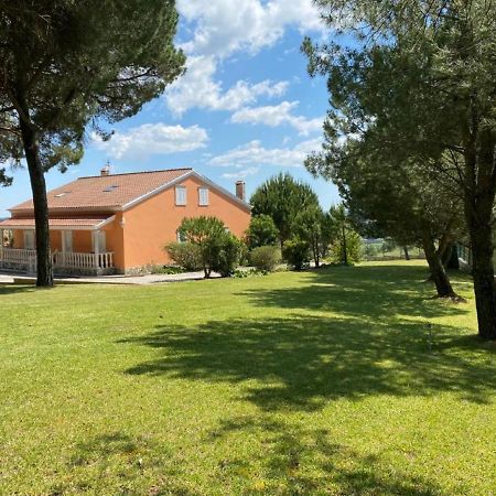 São João da RibeiraQuinta Do Alto Dos Pinheiros别墅 外观 照片