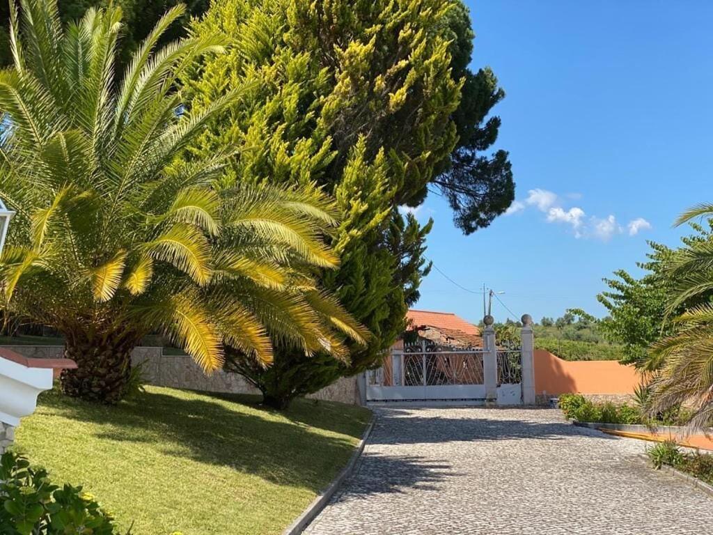 São João da RibeiraQuinta Do Alto Dos Pinheiros别墅 外观 照片