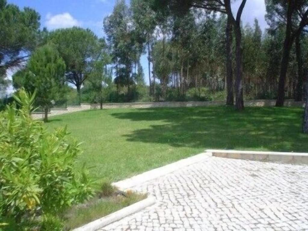 São João da RibeiraQuinta Do Alto Dos Pinheiros别墅 外观 照片